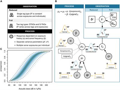 Assessing the Role of Sampling Uncertainty When Predicting Behavioral Responses of Tagged Cetaceans Exposed to Naval Sonar